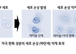 LG생활건강, 레티놀 피부자극 완화 성분 개발