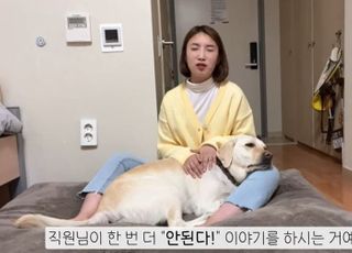 "강아지 크다. 손님들 알러지 있을 수도"…시각장애인 안내견 거부한 유명 프렌차이즈