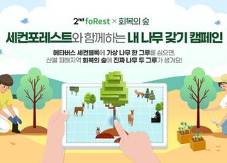 산불피해지에 1만 그루심기 추진…메타버스 이용, 산림복구