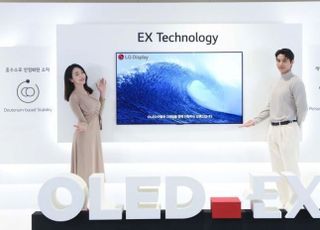 삼성·LG, OLED 동맹 현실화되나…경쟁 속 협력 모색