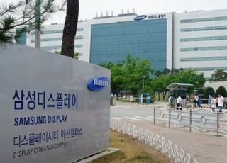 LCD 가격 하락세…삼성·LG 생산 축소 속도내나