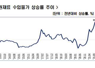 한경연 “원재료수입물가 급등에 무역적자 확대”