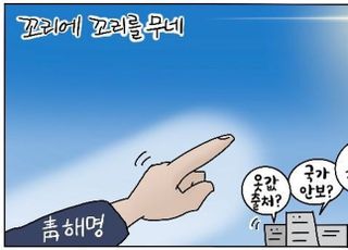 [D-시사만평] "참 구차하다"…청와대 해명 꼬리에 꼬리를 무네