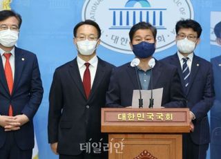 여야, 기초의원 중대선거구제 11곳 시범실시 합의