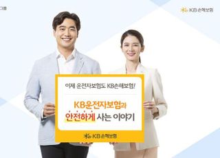 KB손보, 운전자보험 보장 강화…"도로교통법 개정 대비"