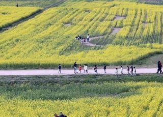 [내일날씨] 전국 대체로 ‘포근’…낮 최고기온 21도