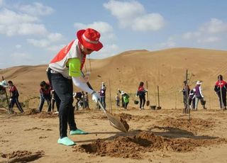 BC카드, 동북아 사막에 ‘숲 조성’…잠실야구장 25개 규모