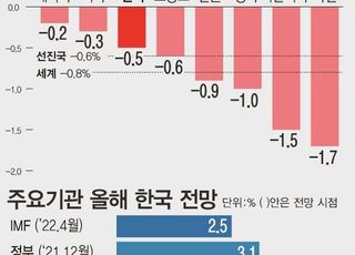 경제성장률 하락 선방했다?…추가 하향 가능성 여전