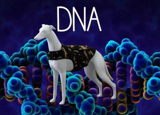 소중한 반려동물 DNA로 지킨다! 도그코리아, 반려견 유실·유기 예방사업 추진