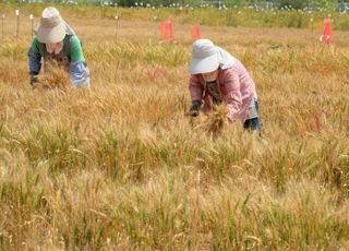 농업계에도 불어닥친 ‘우크라 청구서’…밥상물가 폭등