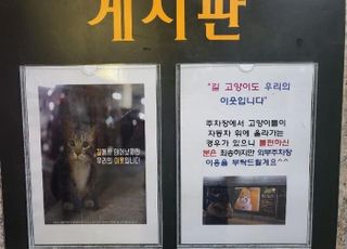 "주차장 길고양이가 불편하신 분들은 외부 주차장 이용하세요" 황당 안내문 논란