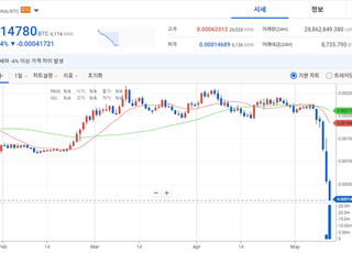 99% 폭락 루나, 바이낸스 상폐에 국내 거래소도 심사