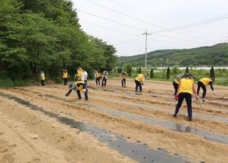 남동발전, 농번기 일손돕기로 농촌지역 활력 도모