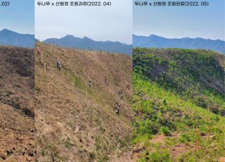 두나무, 경북 산불피해 지역에 나무 심었다…1만260그루