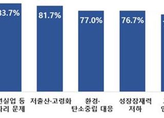 "한국경제 문제는 일자리‧저출산‧저성장"…상의 국민인식 조사