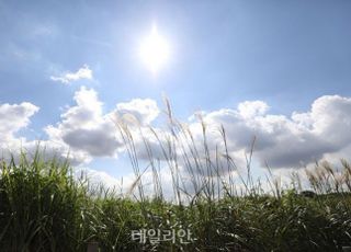 [내일날씨] 전국에 강한 바람…낮 최고기온 30도