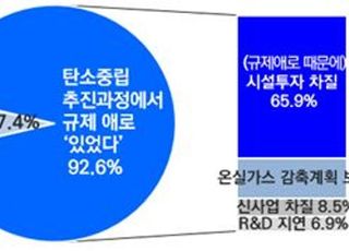 제조기업 93% "탄소중립 사업, 규제에 막혀 차질"