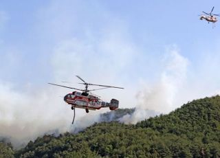 울진 산불 23시간 만에 진화 완료…축구장 203개 면적 태워