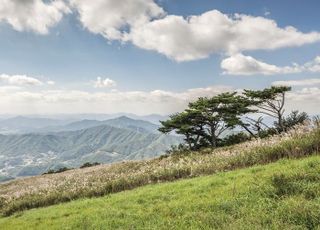 한화호텔앤드리조트, 산불 피해 지역 생태계 회복에 앞장