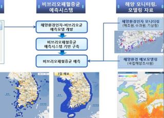 여름철 수산물 안전관리, 6~9월 정부 합동점검