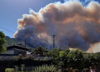 밀양 산불 확산에 주민 476명 대피령…산림청장 "오늘 중 진화"