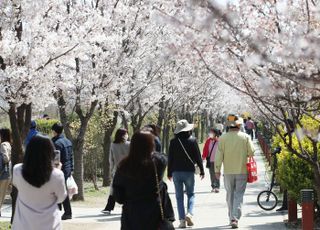 서울 마포구 노을공원서 'SFTS 진드기' 발견…"치료제 없어 안 물리는 수밖에"