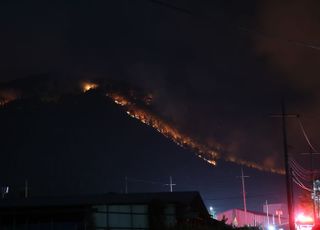 48시간 넘게 꺼지지 않은 밀양 산불…밤샘 작업에도 되살아나