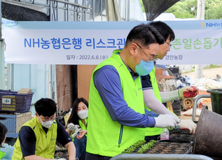 농협은행 리스크관리부문, 화훼농가 일손돕기 실시