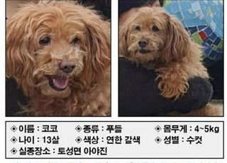 "가족 같은 강아지입니다" 사례금 1,000만 원 걸린 사연…무슨 일?