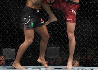 '살아 있다' UFC 강경호 심판전원일치판정승, 재도약 발판