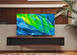 'LG 패널 쓴 삼성 OLED TV' 올해는 못본다...당분간은 각자도생