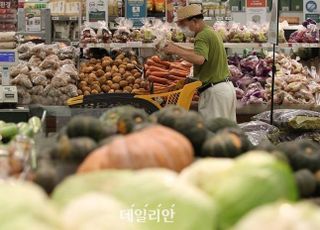 [새정부 경제방향] 물가·성장률·경상수지…하반기 전망 ‘먹구름’