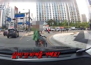 "자전거 타고 차량 막은 아이, 동네 상습범" 주장…"약 올리고 도망쳐"