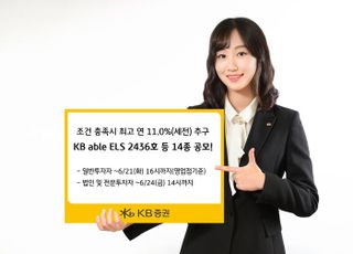 KB증권, 리자드 스텝다운형 등 ELS·ELB 14종 공모