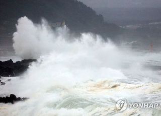 "X자 테이핑 큰 효과 없어"…태풍 발생 시 대처 요령은? [라이프톡톡]