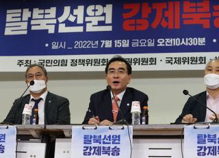 탈북 선원 강제 북송 사건 관련 토론회 진행하는 태영호 의원