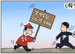 [D-시사만평] 한미동맹 강화중인데…중국, 문재인 정부 약속 지키라며 '사드 3불' 유지 요구