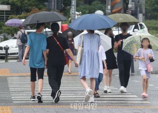 계속되는 비, 우산 쓴 시민들