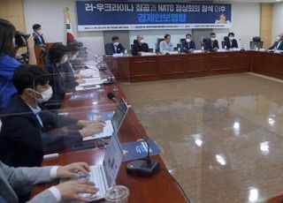 '러-우크라이나 침공과 NATO 정상회의 참석 이후 경제안보영향' 세미나 개최한 민주당 경제위기대응특위