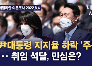 [여론조사 영상] 尹대통령 지지율 하락 '주춤'··· 취임 석달, 민심은?