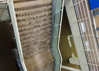 서울대 '꼭대기' 신공학관 침수…학부사무실·편의점 물에 잠겨
