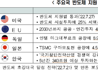 한경연 "삼성전자, TSMC에 비해 조세·임금·인력수급 열악해"