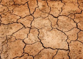 가뭄·폭염에 프랑스 전통치즈 생산 '올스톱'
