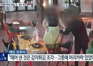 머리카락 '환불 사기' 의혹 72만 유튜버 해명 "담요에서 뗀 건…"
