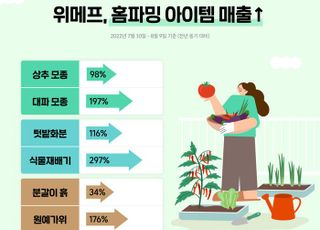 "상추·대파 직접 키워요"…고물가에 채소도 자급자족 뜬다