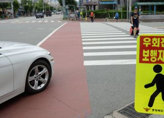 횡단보도 앞 '우회전 일시정지' 시행 한 달…교통사고 51% 감소