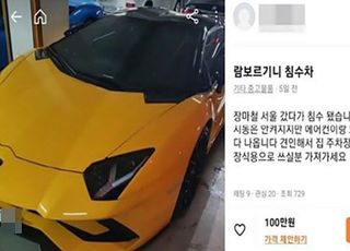 "침수 람보르기니 100만 원에 팔아요" 당근마켓 뒤흔든 글, 허위로 드러났다