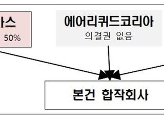 공정위, SK가스·롯데케미칼·에어리퀴드코리아 수소에너지 합작회사 승인