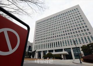 '법 제정에도 급증' 스토킹 범죄, 구속수사 원칙