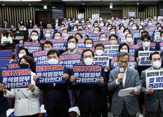 쌀값 하락 대책 촉구하는 민주당